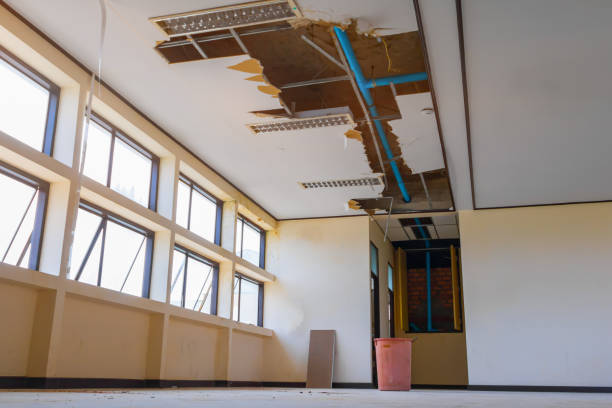 Best Ceiling water damage repair  in Pembroke, GA
