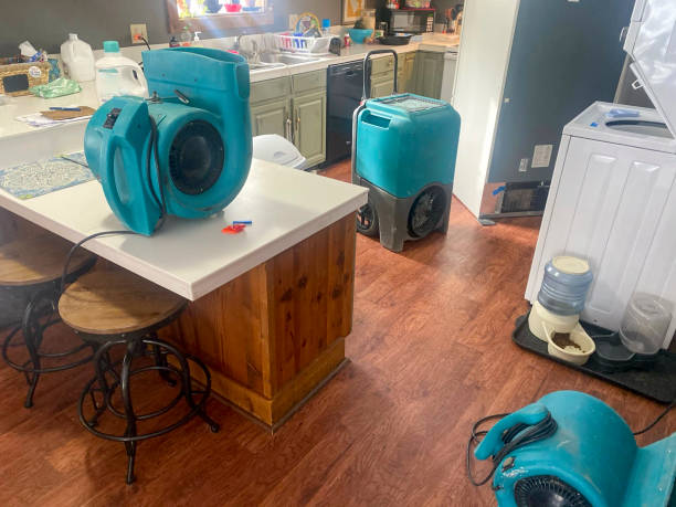 Trusted Pembroke, GA Water damage restoration Experts