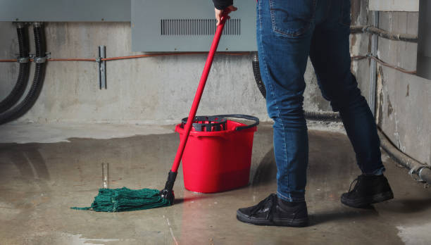 Best Sewage cleanup and water damage restoration  in Pembroke, GA