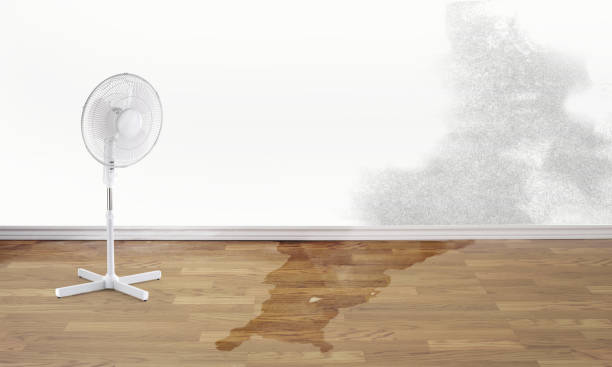 Best Sewage cleanup and water damage restoration  in Pembroke, GA