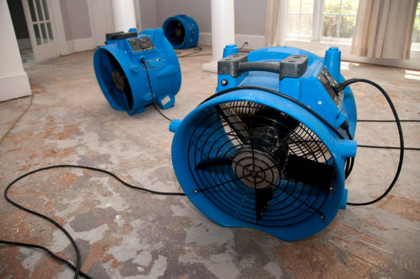 Best Water damage restoration experts  in Pembroke, GA