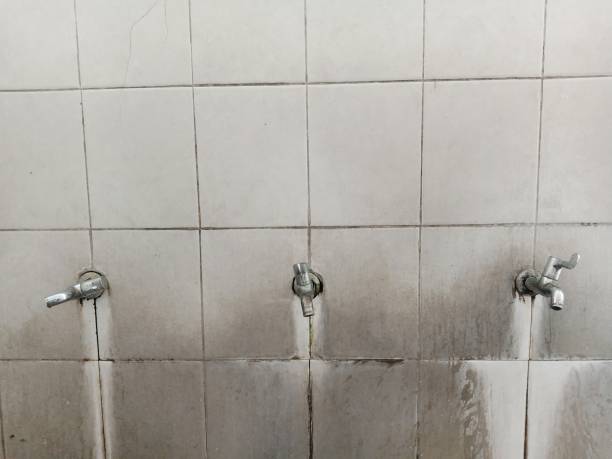 Best 24/7 water damage repair  in Pembroke, GA