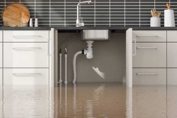 Best Residential water damage restoration  in Pembroke, GA