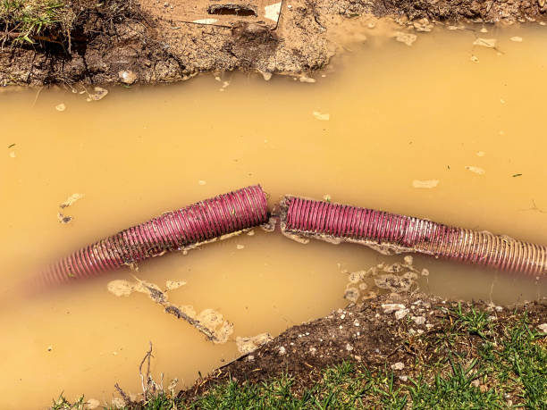 Best Carpet water damage restoration  in Pembroke, GA
