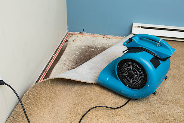 Best Flood damage cleanup  in Pembroke, GA